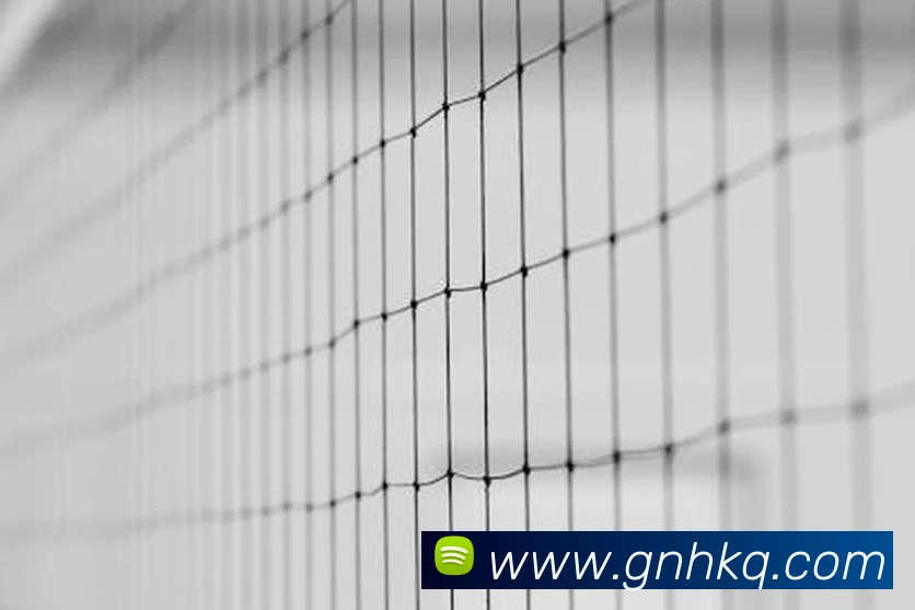 半岛官网登陆入口APP 高清赛事图